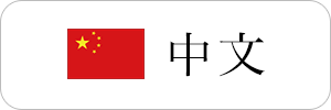中文